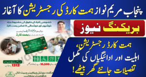 Maryam Nawaz Himmat Card
