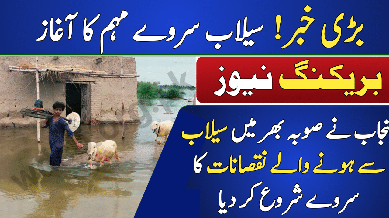 Flood Damage Survey