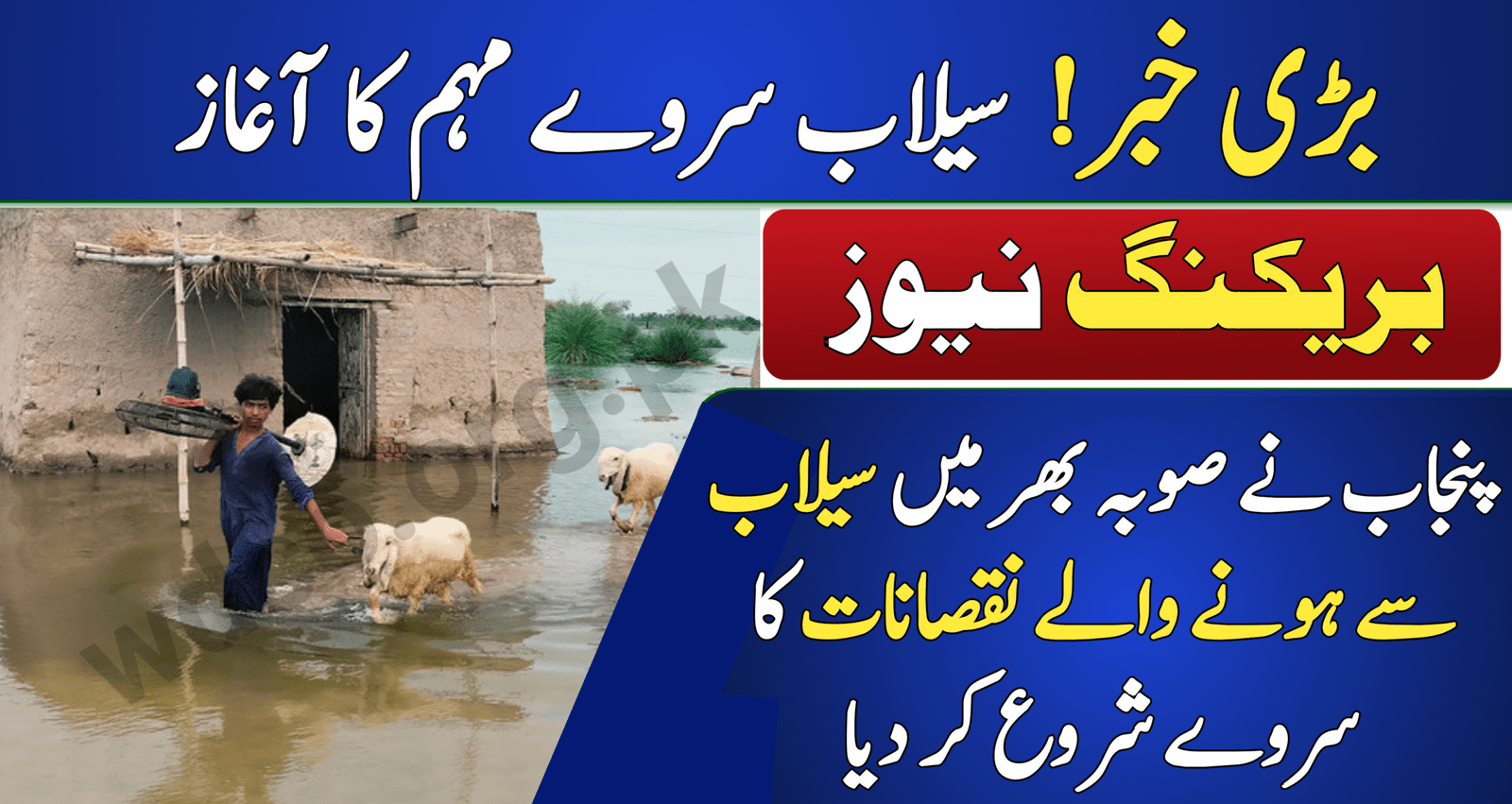Flood Damage Survey