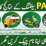 PAVE Balloting Result