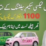 E Taxi Scheme Balloting Result