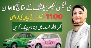 E Taxi Scheme Balloting Result