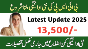BISP New Payment