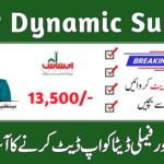 BISP Dynamic Survey