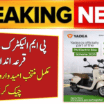 PM Electric Bike Scheme Ballot Result