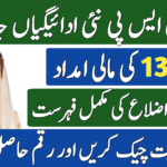 Cluster-Wise BISP Payment