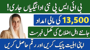 Cluster-Wise BISP Payment