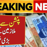 EOBI Pension For Old Citizens