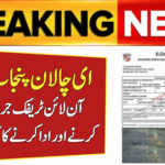 E-Challan Punjab System