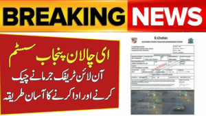 E-Challan Punjab System
